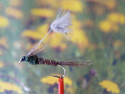 Nymphe '' Parasol Pheasant Tail ''   3er Set