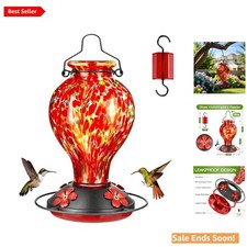 Elegant Hand Blown Glass Hummingbird Feeder - 24oz with Ant Moat  Perch