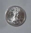 2013 $1 American Eagle .999 1 oz Silver Dollar Coin Walking Liberty Ungraded