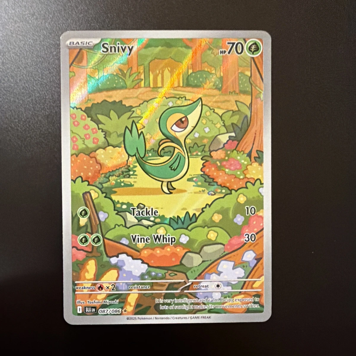 Snivy Pokémon TCG Cards for sale | eBay