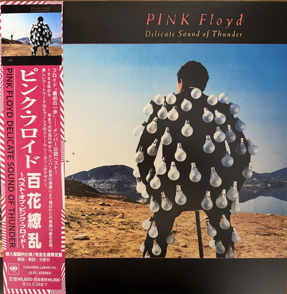 PINK FLOYD DELICATE SOUND OF THUNDER 2lp Color In Color Vinyl Japan Obi Replica - Image 2 of 4