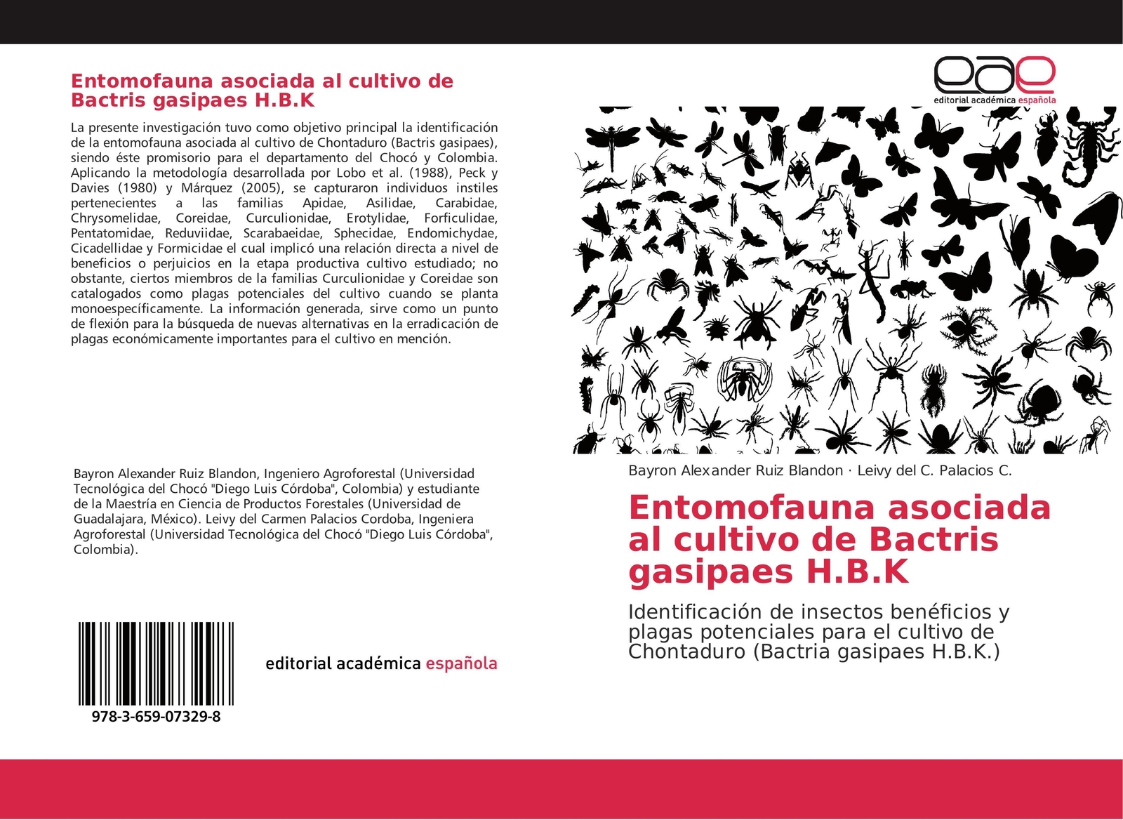 Thumbnail - Bayron Alexander Ruiz Blandon (u. A.) | Entomofauna Asociada Al