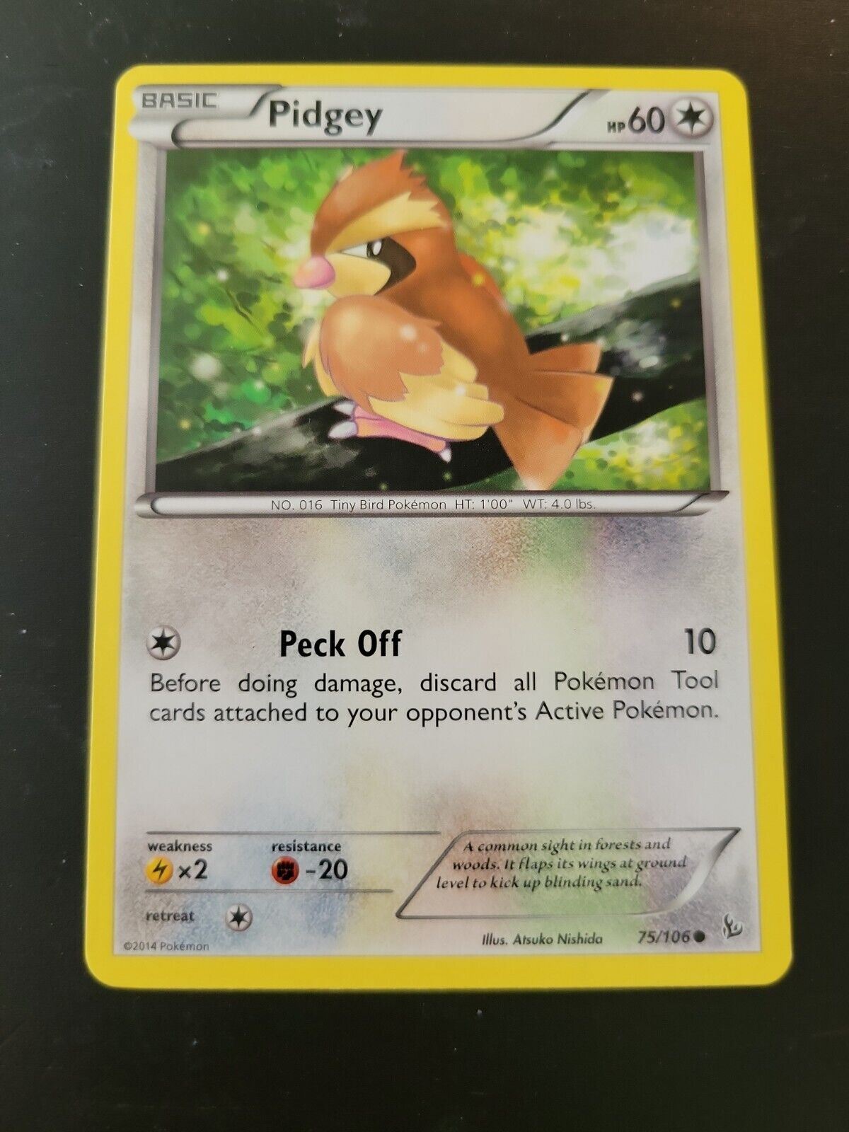 Pokemon TCG Card 2014 XY Flashfire - Pidgey 75/106