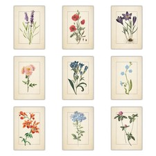 Antique Flora Wall Art Set of 9