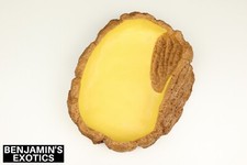 Reptile Water Bowl Large Dish Resin Naturalistic Clay Stone Snake Lizard Frog