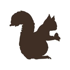 squirrel Decal Car Window Laptop squirrel Silhouette Sticker