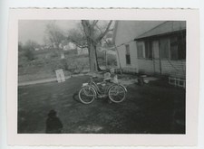 Vintage Photo Two Pretty Pussy Cats Perched On Bicycle Man Shadow Artsy 1950s Vintage Photo Two Pretty Pussy Cats Perched On Bicycle Man Shadow Artsy 1950s