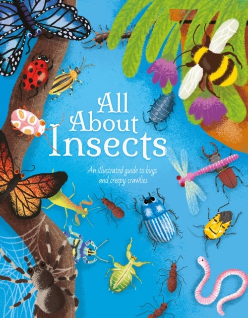 All About Insects by Polly Cheeseman (Hardback Book)