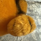 Foto 16 di 17