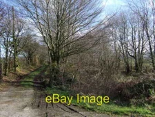 Photo 6x4 Beaworthy Bridleway 53 and dismantled railway Thorndon Cross Th c2007