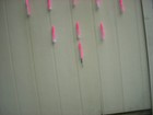 Bild 4 von 6