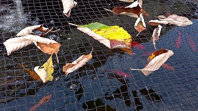 PondH2o Black Premium Koi Fish Pond Protection Cover Netting With Fixing Stakes