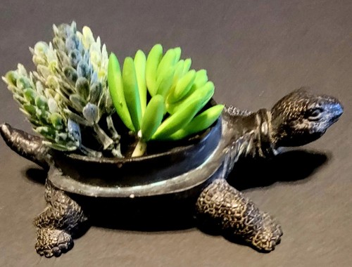Decorazione tartaruga casa e giardino - Foto 8 di 8
