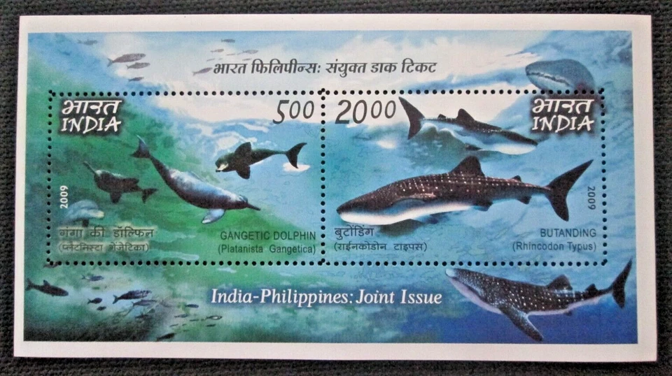India - Philippines Joint "WHALES ~ DOLPHINS ~ MARINE LIFE" Full Sheet + MS 2009 - Image 3 of 4