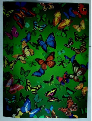 Download Butterfly 3d Lenticular Raster Holographic Stereoscopic Picture Wall Art Ebay