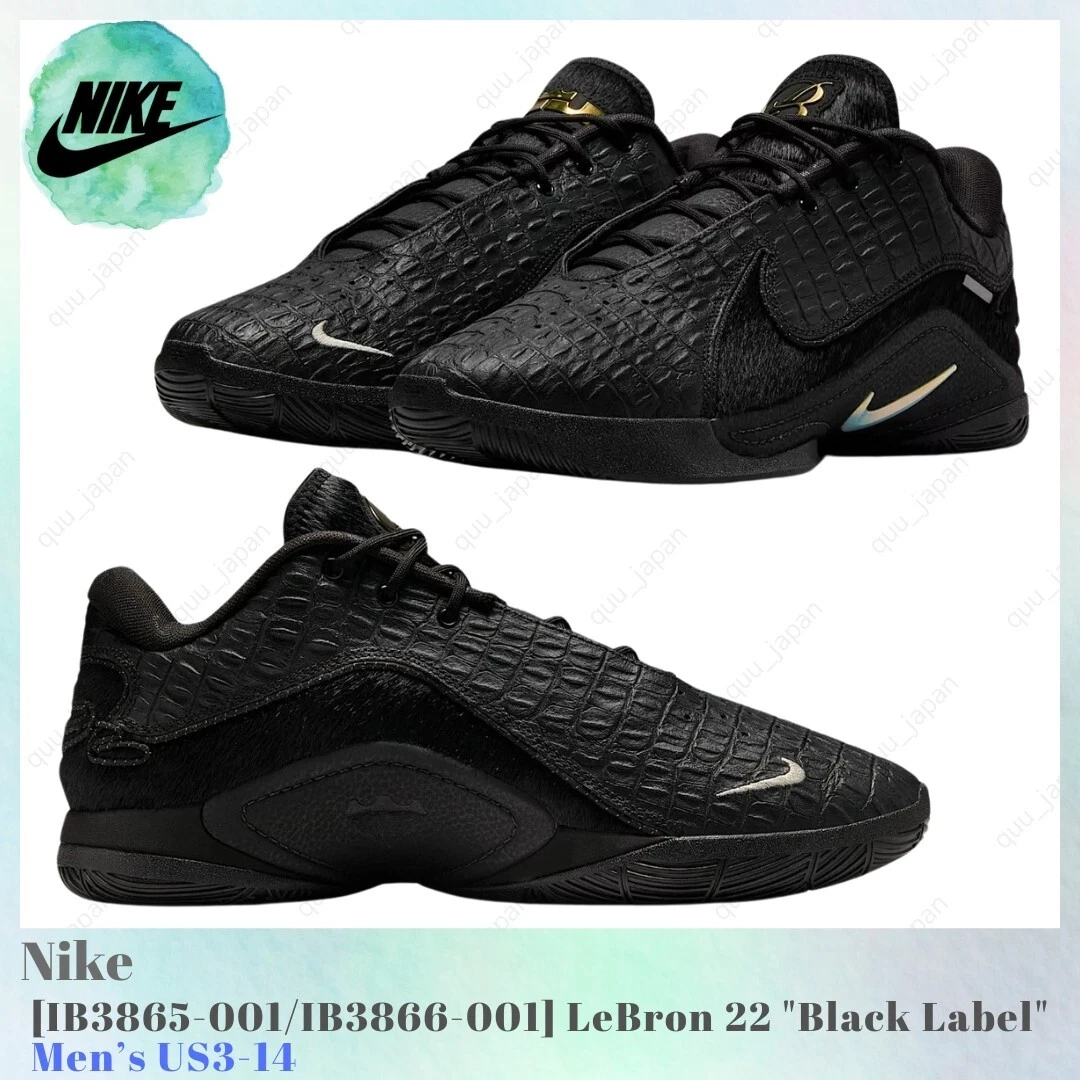 Nike LeBron 22 EP Black Label Pack for Sale | Authenticity