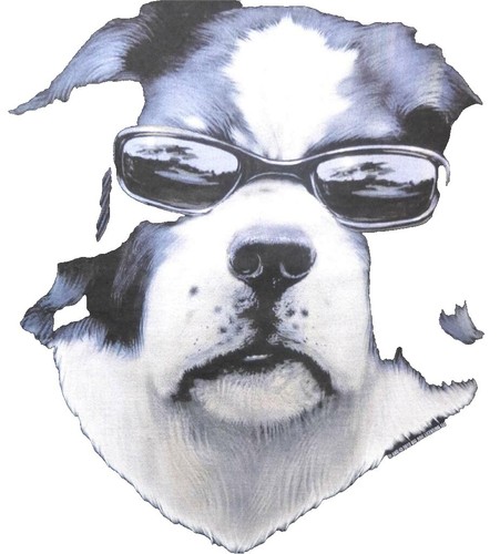 T-shirt Vintage 90s Red Dog – Noir – Taille XL – Graphique Chien Et Bière – Canada