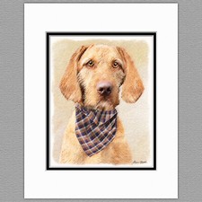 Wirehaired Vizsla Hungarian Dog Original Art Print 8x10 Matted to 11x14