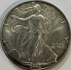 2002 American Silver Eagle $1 1 oz .999 Fine Silver Toned Uncertified US Mint