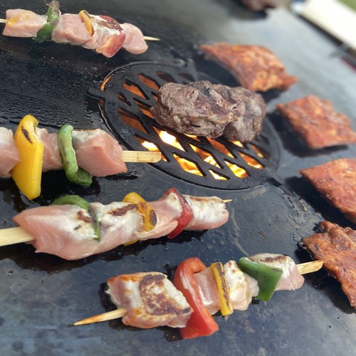 Grilleinsatz Ø 20cm für Feuerplatte Grill Einsatz BBQ Plancha Grillrost Grill 09 - Bild 2 von 9