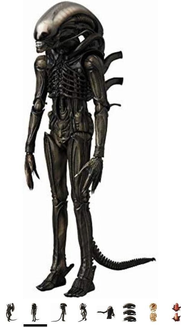 Foto 3 di 4