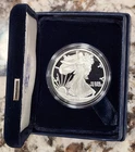 2006-W US Mint American Eagle Silver Proof $1 One Ounce Coin OGP & COA Beautiful