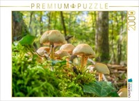 Calvendo Puzzle Hypholoma Fasciculare 2000 Teile Puzzle Quer | 2000 Teile Lege-G