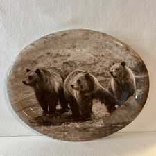 Yellowstone Park Foundation 2003 Tom Murphy Bear Decorative Serving Platter
