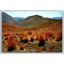 Lindis Pass New Zealand Scenic Postcard 1992 Colour View Landscape Nature