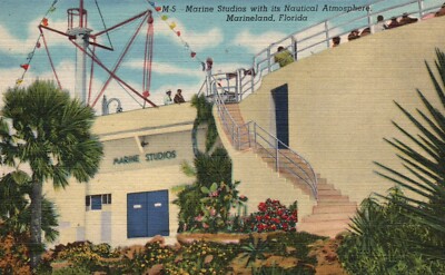Postcard FL Marineland Marine Studios 1946 Unposted Linen Vintage PC L3186