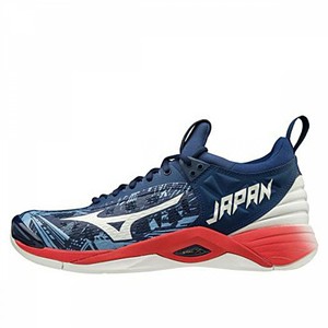 mizuno volleyball shoes price philippines