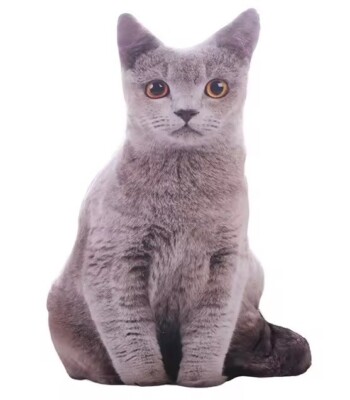 Grey Cat Print Pillow Plush Toy 19'' Stuffed Animal Toddler Doll Gift for Kids