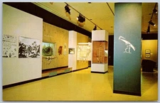 Vintage Adirondack Museum Introductory Gallery Postcard Blue Mountain Lake NY