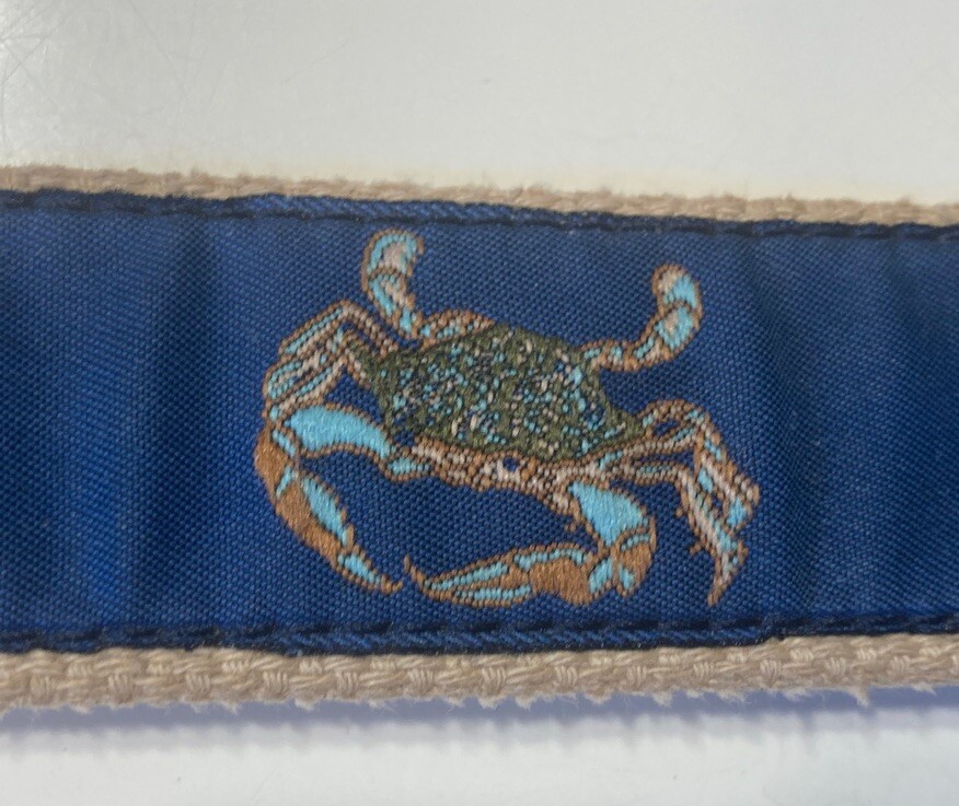 Picture 5 of 11
