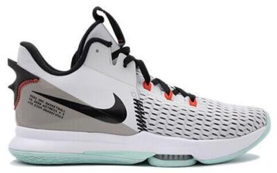 Nike LeBron Witness 5 Pure Platinum Light Dew for Sale
