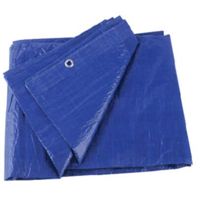 Lona De Polietileno Impermeable Multiusos Transparente De 6x5
