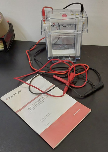 Invitrogen XCell-SureLock Mini Cell Electrophoresis W/BioRad Roller for Gel Blot