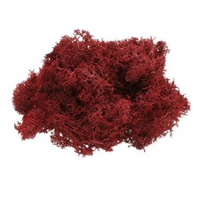 uxcell Preserved Reindeer Moss, 4 OZ Fake Moss for Crafts 4 oz, Dark Red