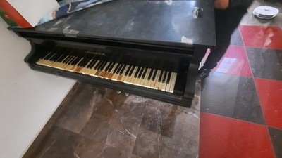 Bechstein Flügel Model B, 200 cm, generalüberholt