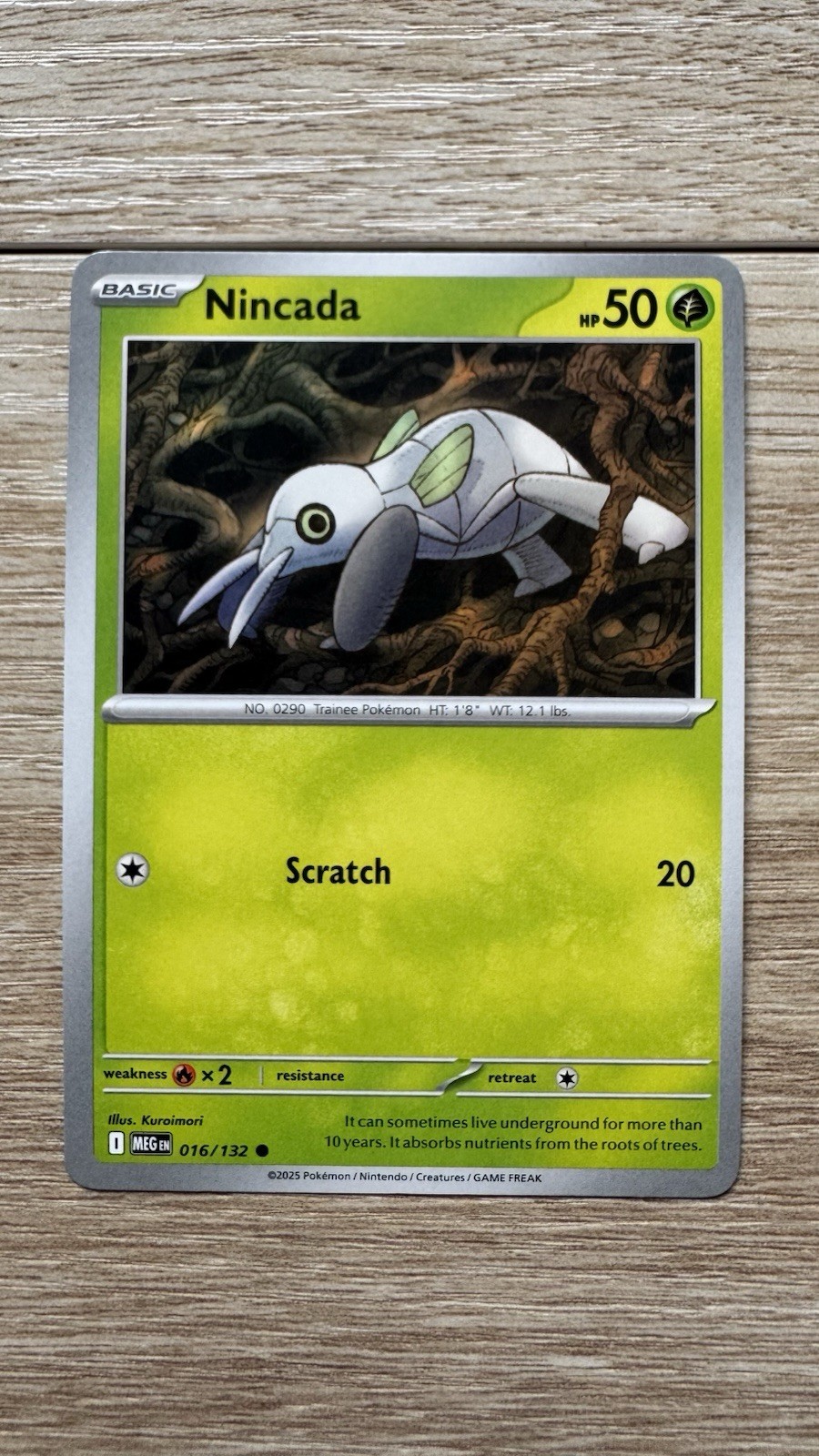 Pokémon Nincada 016/132 - ME01: Mega Evolution Common Regular Card NM
