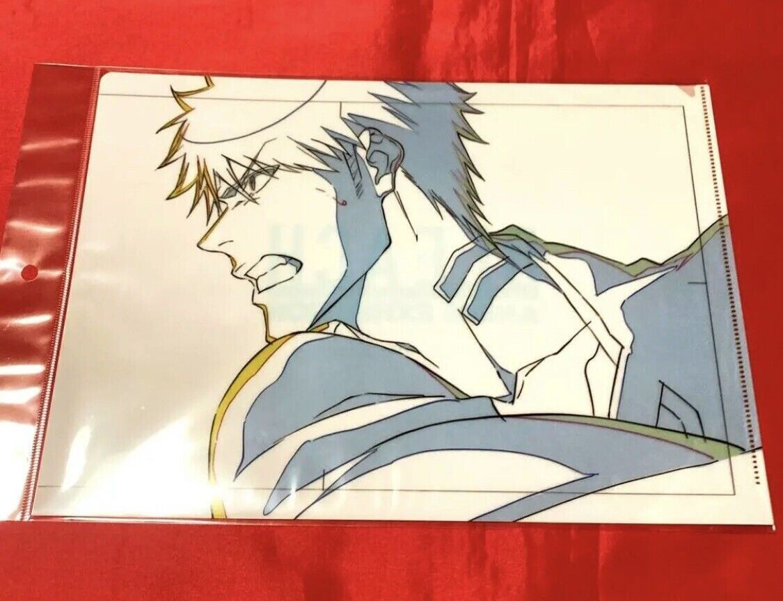 Bleach Anime Exhibition 2023 Ichigo Kurosaki Shikishi JAPAN