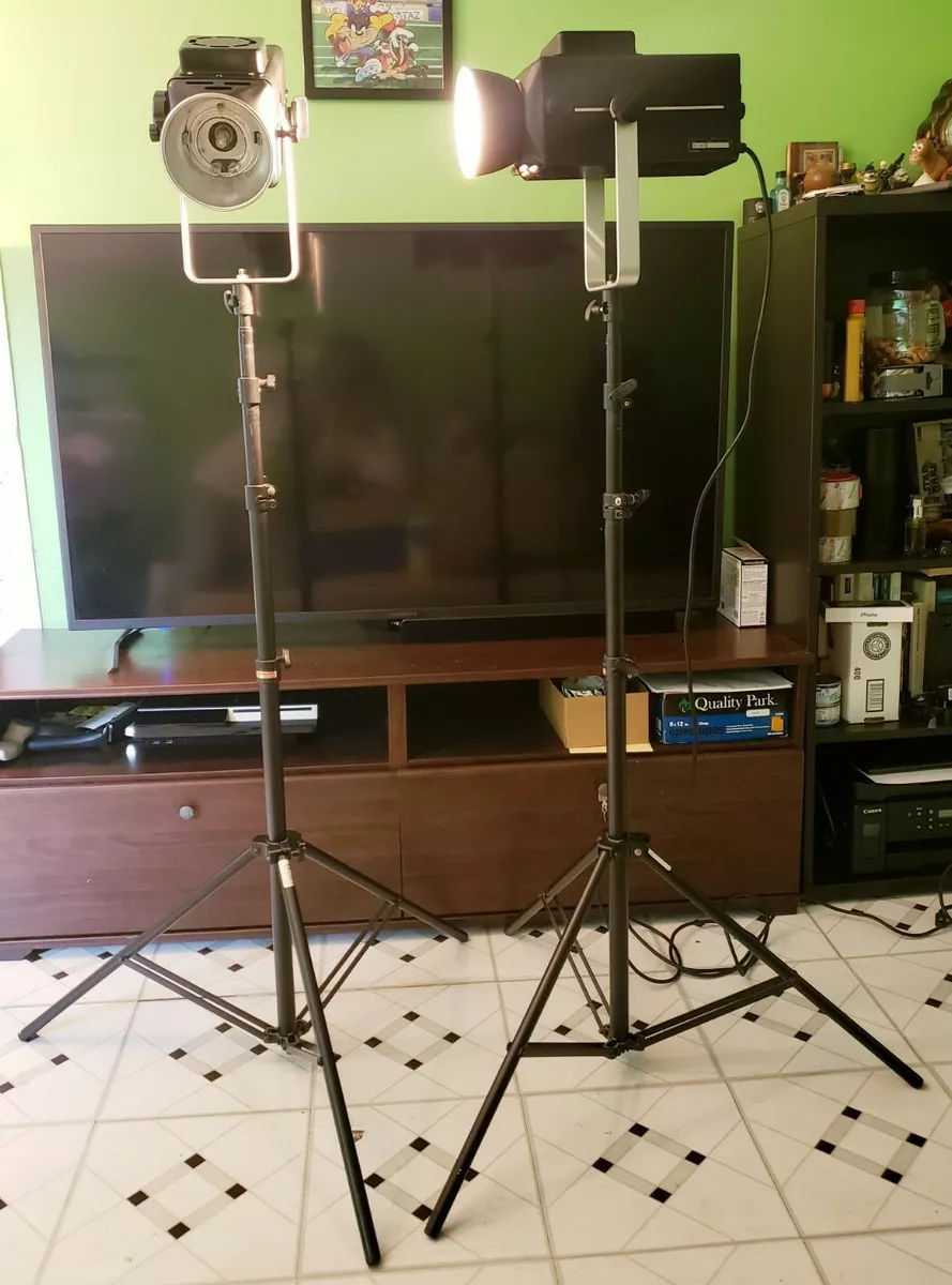 Flashpoint cheap studio lights