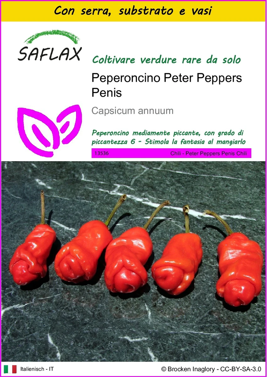90 SEMI PEPERONCINO PETER PEPPER A FORMA DI PENE -SPEDIZIONE GRATUITA 90 SEMI PEPERONCINO PETER PEPPER A FORMA DI PENE -SPEDIZIONE GRATUITA
