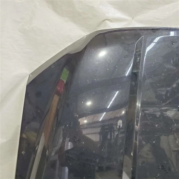 Chips de pintura menores del capó OEM 2015 2016 2017 2018 2019 2020 Ford F150 Foto 3 de 4