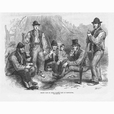 IRLAND Meath Lads on their Garden Plot at Crossakiel - Antique Print 1870