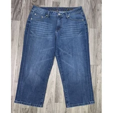 Jag Jeans Womens Size 14 Classic Fit Embroidered Straight Cropped Denim Jeans