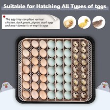 56 Egg Incubator for Hatching Eggs with Automatic Egg Turning Egg Candler Gift-