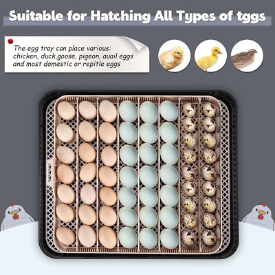 56 Egg Incubator for Hatching Eggs with Automatic Egg Turning Egg Candler