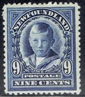 Newfoundland #111  mint no gum stamp