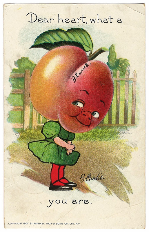 Comic Pun: Fantasy Girl with Peach Fruit Head. Artist Signed E. Curtis. 1907.